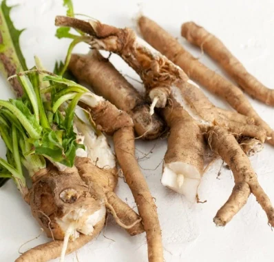 Chicory Root Inulin
